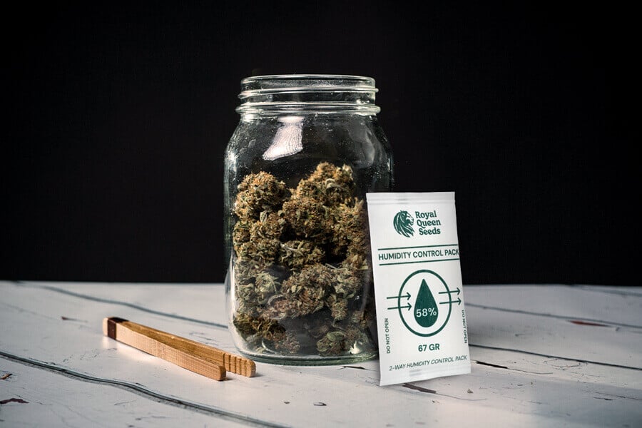 Sådan undgår du, at din cannabis mugner under tørring og hærdning