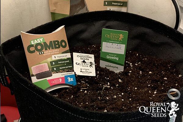 Easy Combo Boosterpakke