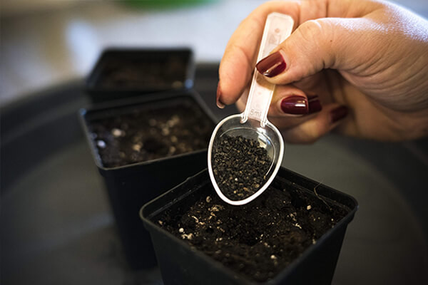 Easy Roots - Mycorrhiza Mix