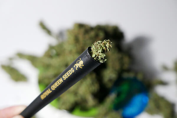 RQS Saverette RQS Saverette