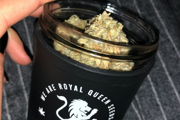 RQS Re:stash opbevaringsglas