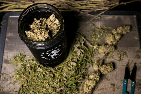 RQS Re:stash opbevaringsglas