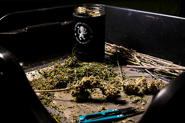 RQS Re:stash opbevaringsglas