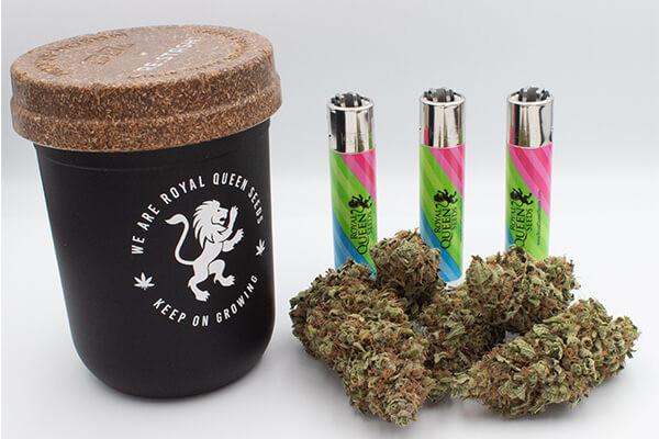 RQS Re:stash opbevaringsglas