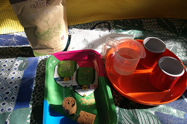 Soil Plugs Soil Plugs