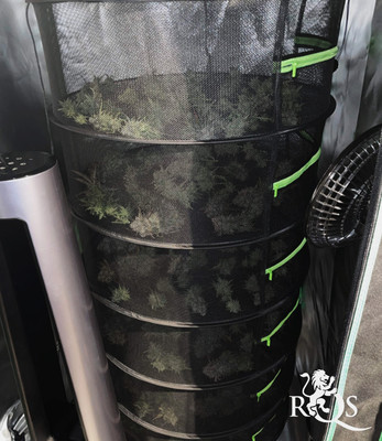 Tørringsnet Tørringsnet